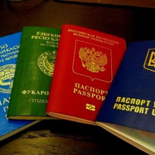 прописка в Нелидово